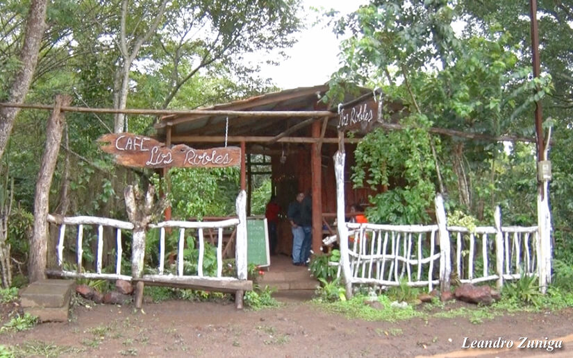 CAFE2